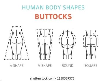 pictures of buttocks|149,671 Buttock Royalty.